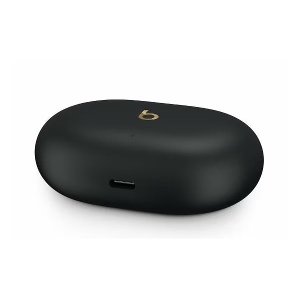 На фото изображено Беспроводные наушники Beats Studio Buds Plus, чёрный