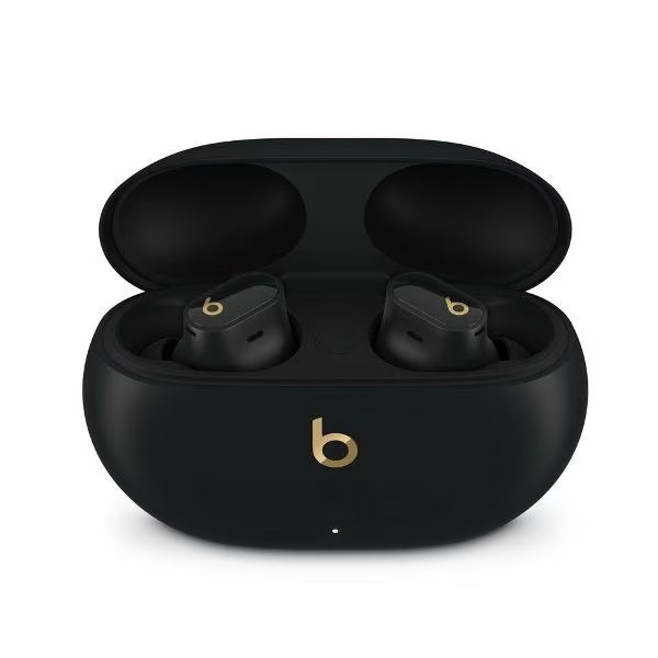 На фото изображено Беспроводные наушники Beats Studio Buds Plus, чёрный